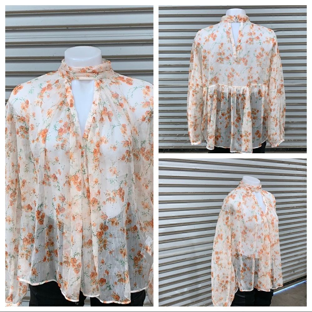 Zara Basic Collection size medium sheer floral top - image 1
